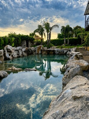 A clear pool surrounded by rocks and palm trees.