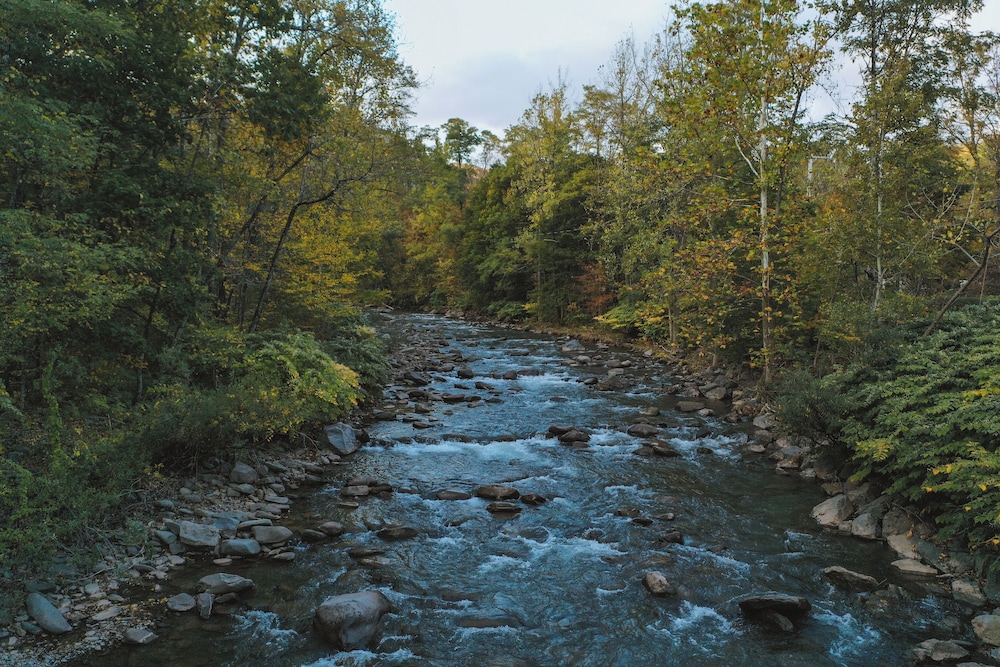 The Graham & Co. by null