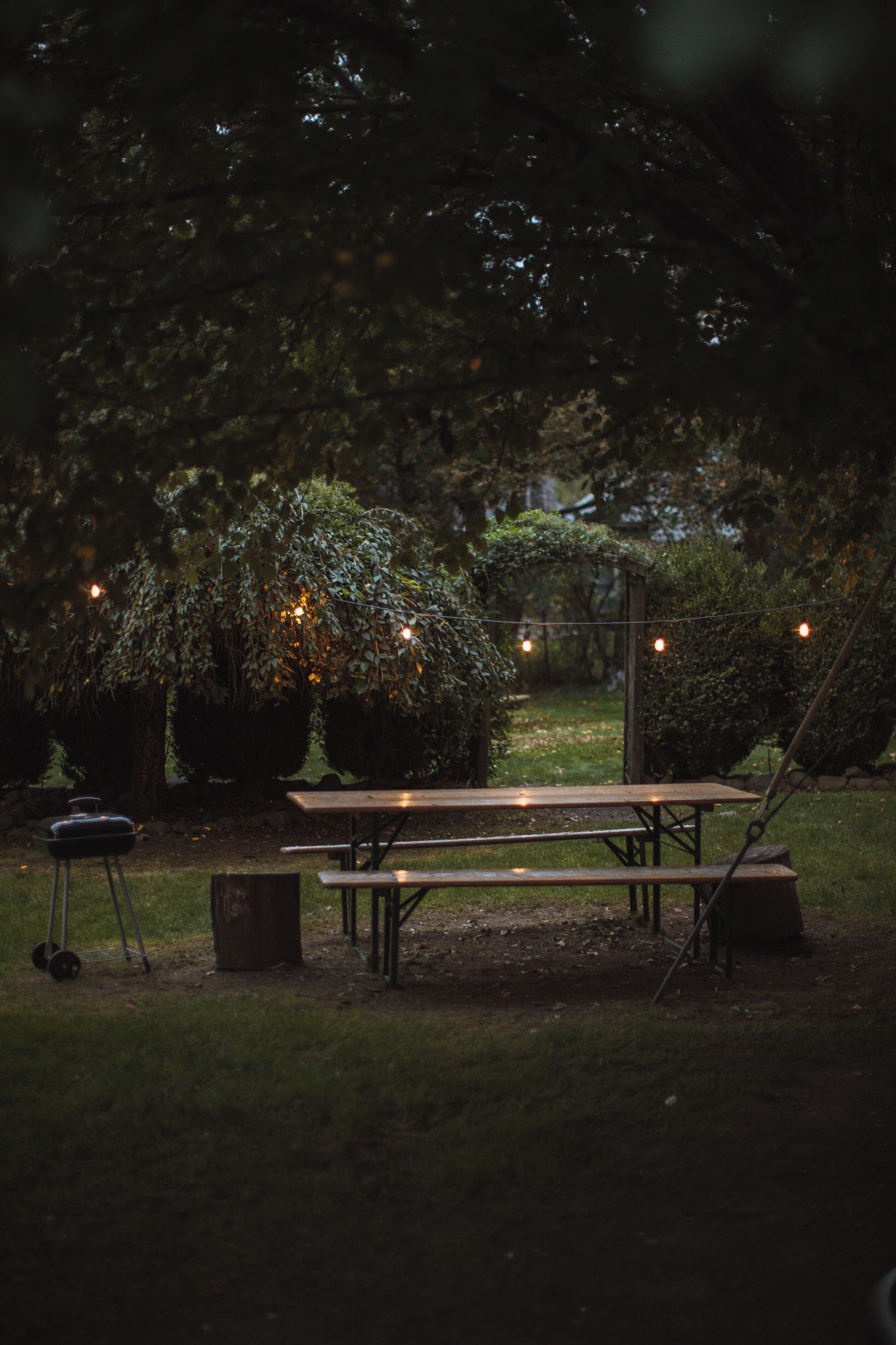 Ein Picknicktisch in einem Garten, umgeben von Bäumen und Sträuchern, mit Lichterketten beleuchtet.