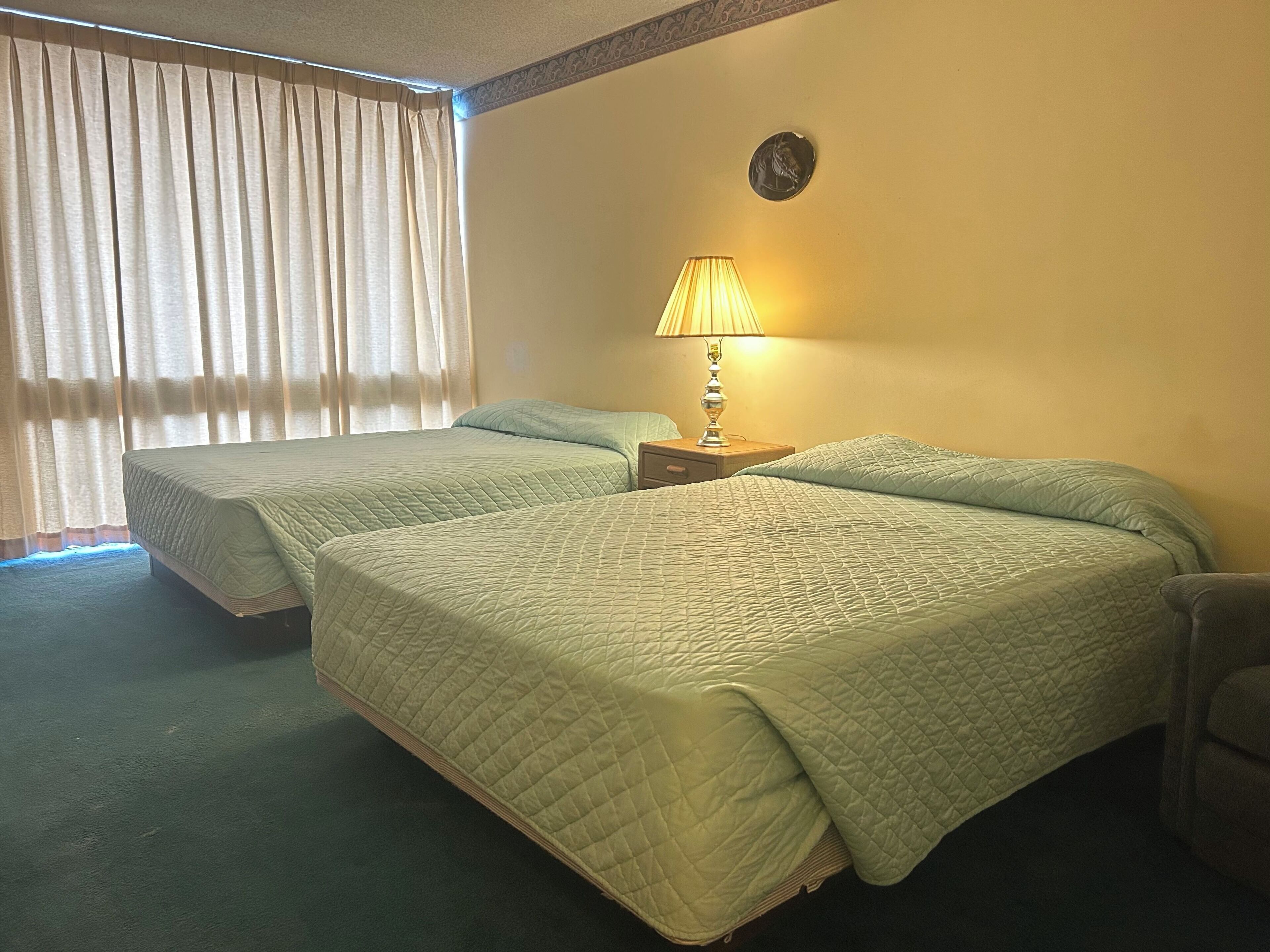 Desk, free WiFi, bed sheets