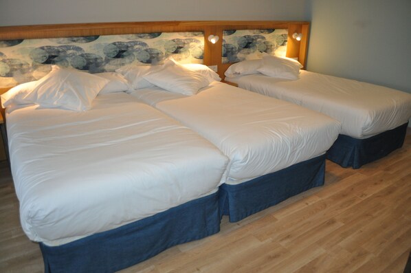 Habitación triple con camas supletorias