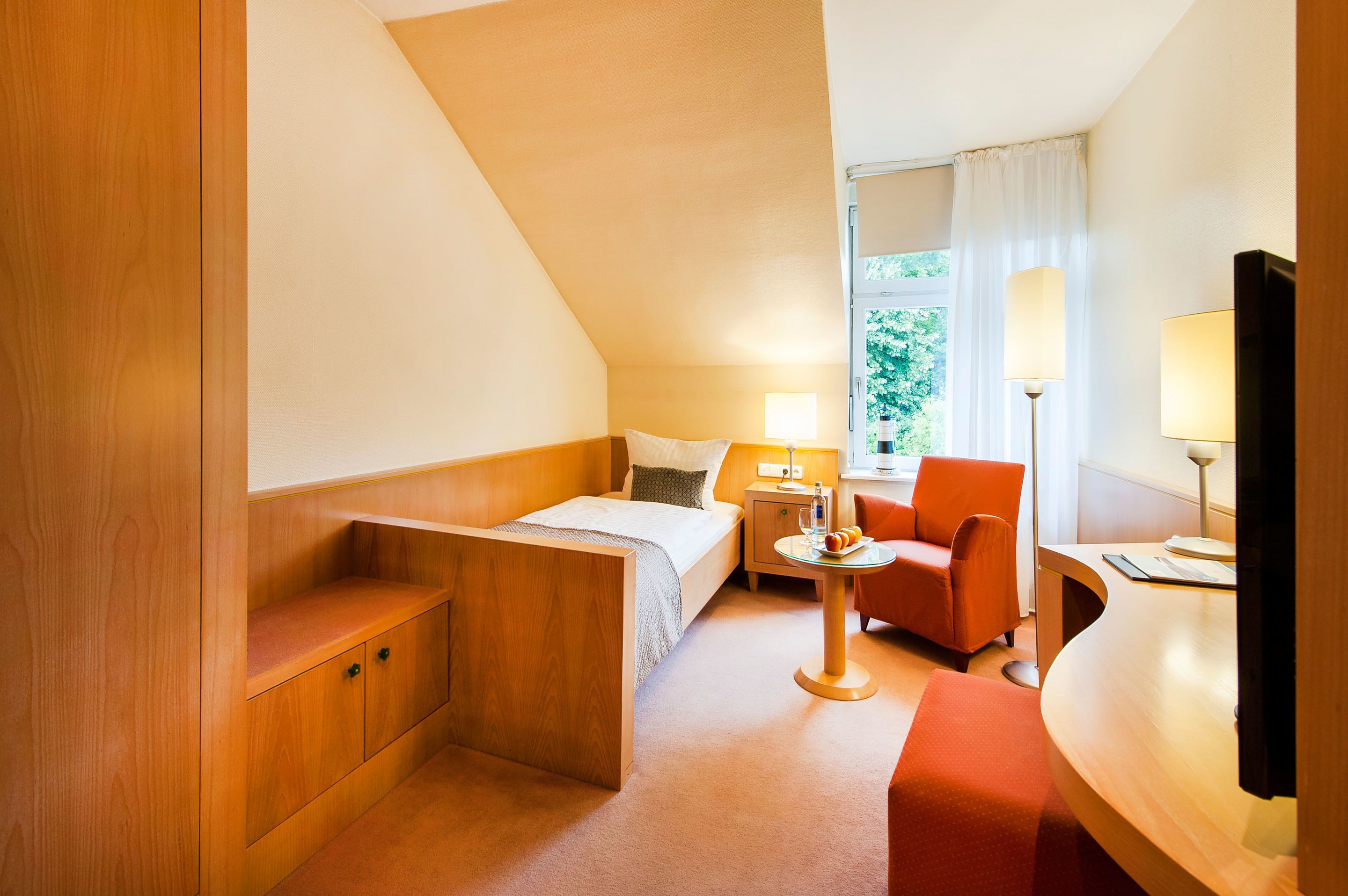 standard single room | hypo-allergenic bedding, minibar, in-room safe, desk