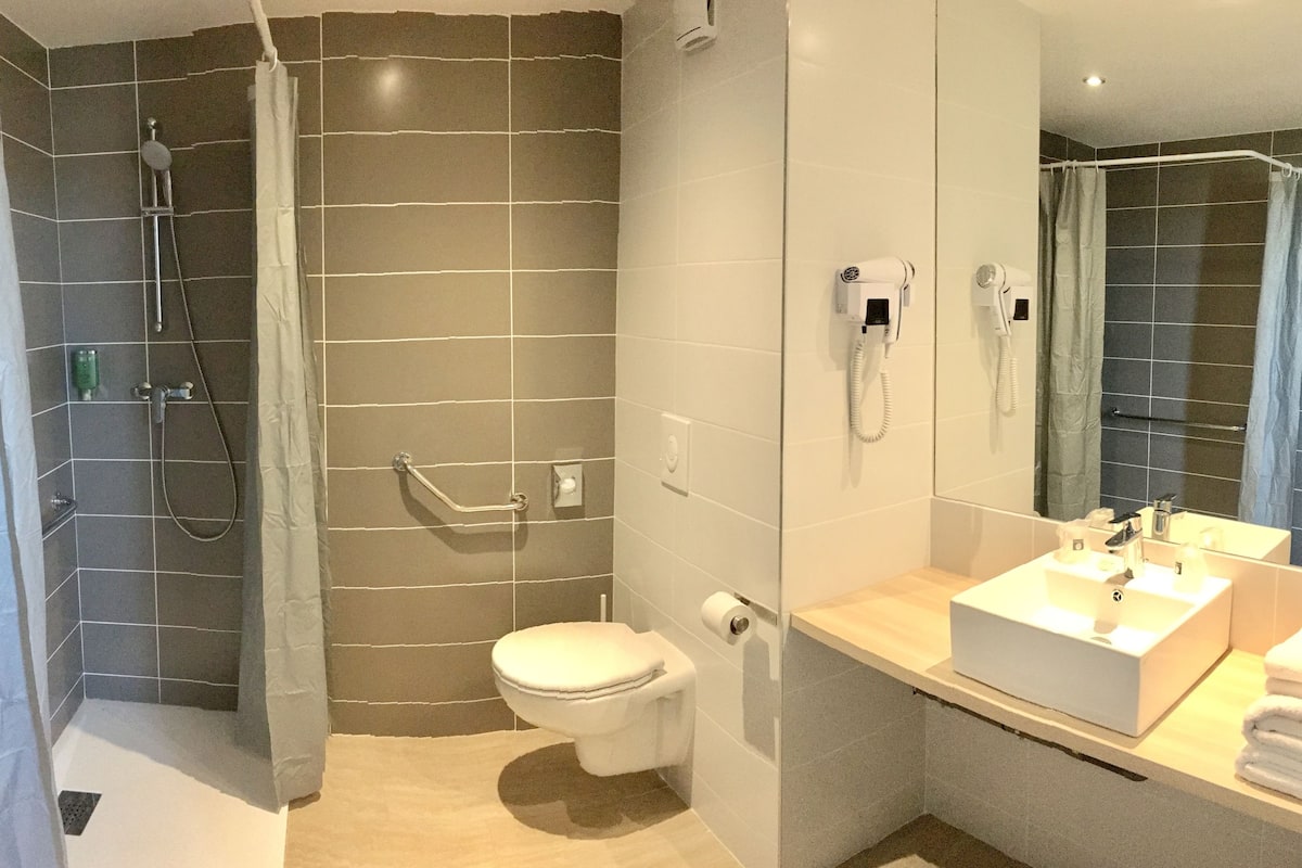 shower, free toiletries, hair dryer, towels