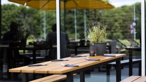 Un área de comedor al aire libre con mesas y bancos de madera, plantas en macetas y un paraguas amarillo.