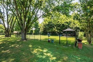 Pet-friendly amenities