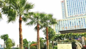 A tall building with a modern design, surrounded by palm trees and other greenery. - Fontaine Hotel (Yingtan)