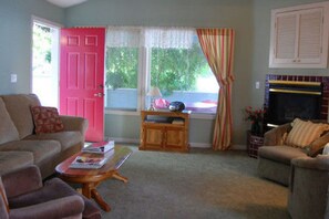 Televisión, chimenea, reproductor de DVD