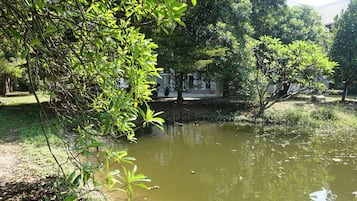 Jardim