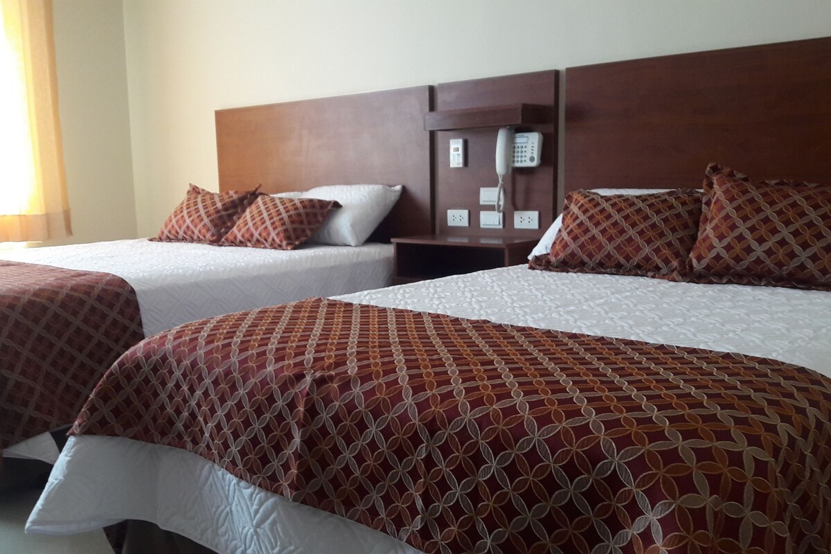 Minibar, escritorio, wifi gratis y ropa de cama 