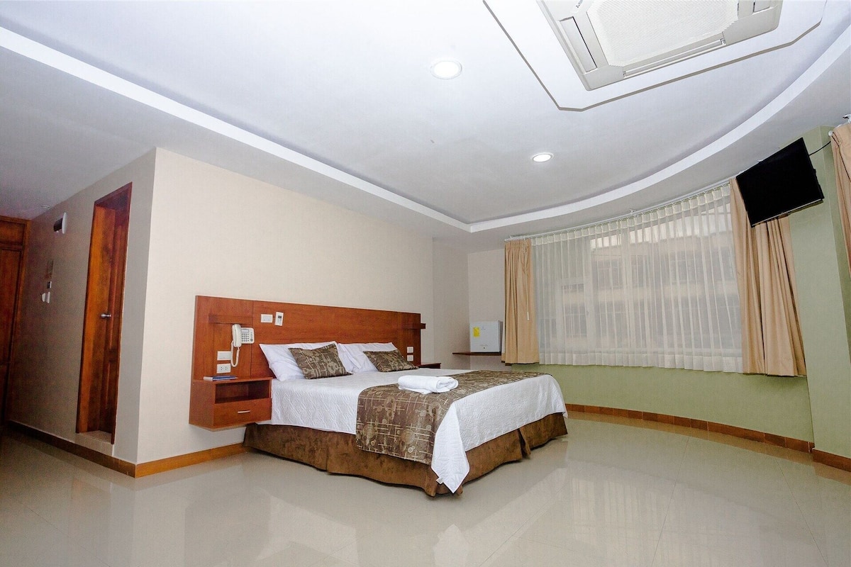 Minibar, escritorio, wifi gratis y ropa de cama 