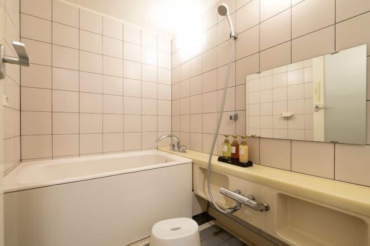 Combined shower/bathtub, free toiletries, hair dryer, slippers
