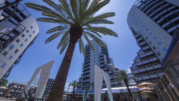 Edifici modern amb una palmera al primer pla, grans finestres de vidre i zones d'seients exteriors.