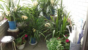Een klein buitenhoekje met diverse plantenpotten en een stoel.