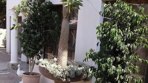 A courtyard with potted plants and a white bird statue. - Upper Room Guest House (Francistown)
