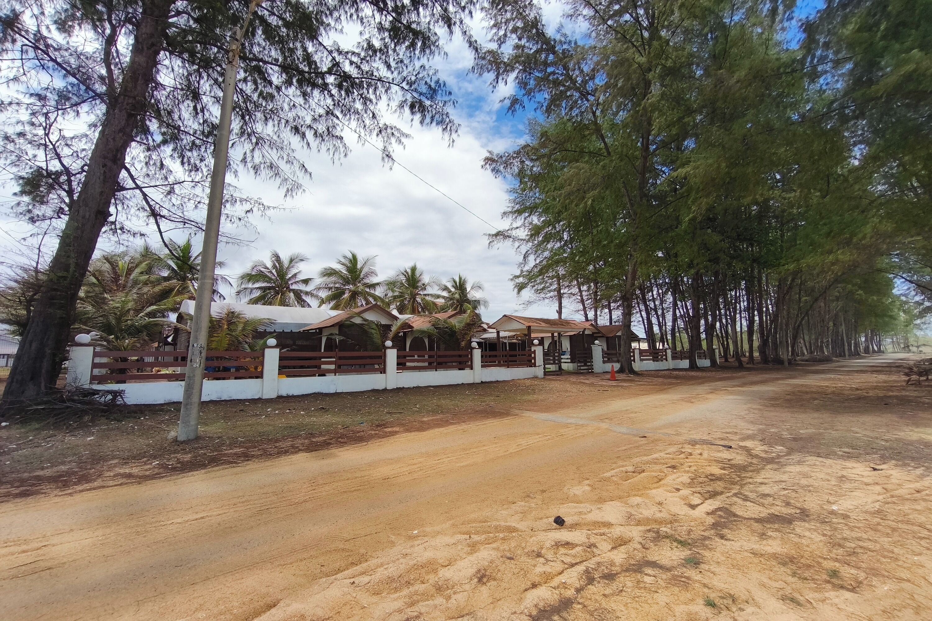 A dirt road leading to a property with a fenced area, palm trees, and a clear sky.