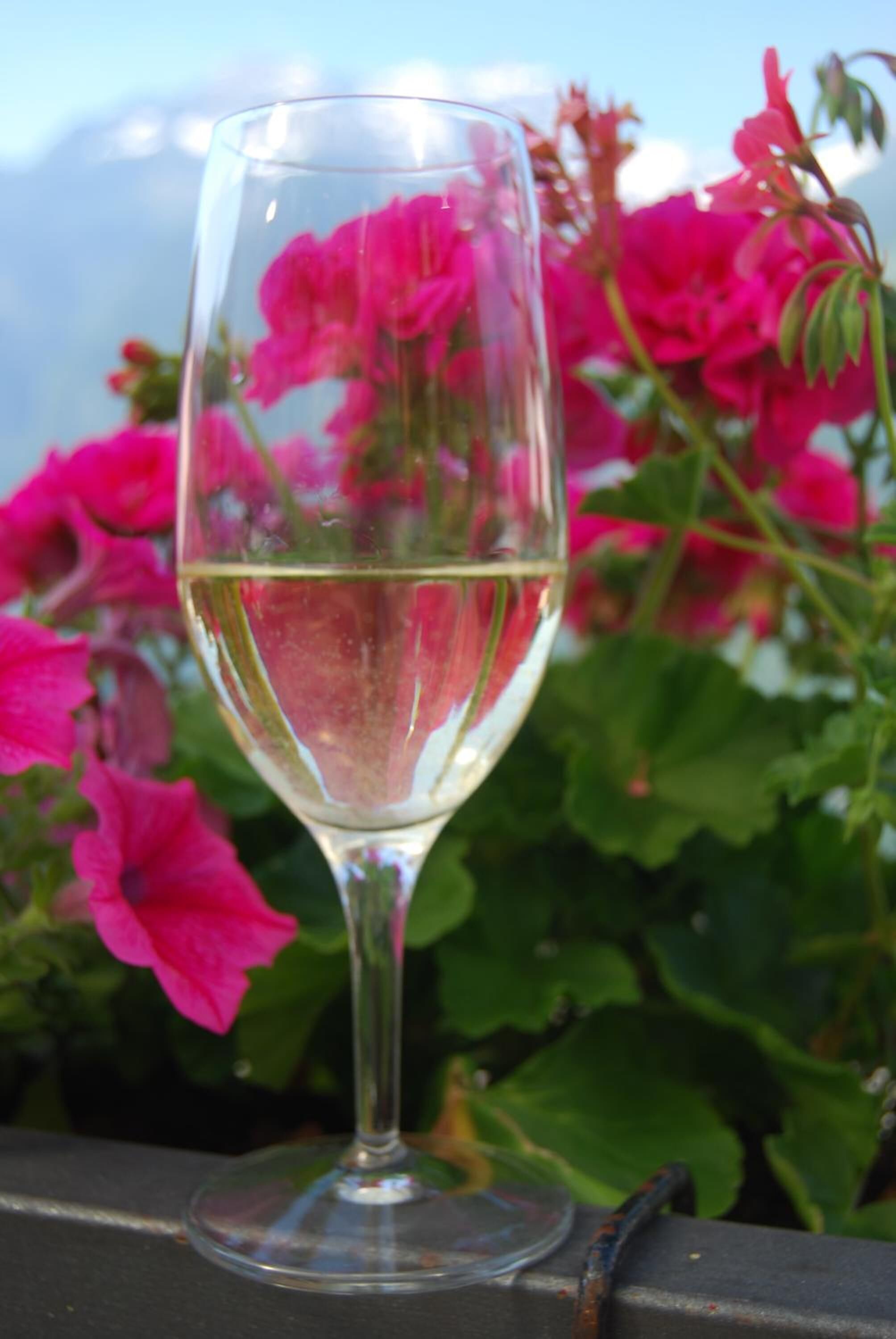 Una copa de vino blanco transparente con flores rosadas al fondo.