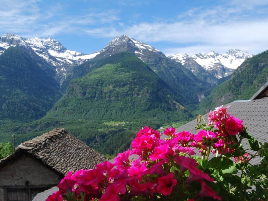 Vista desde la propiedad