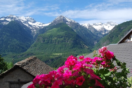 Vista desde la propiedad