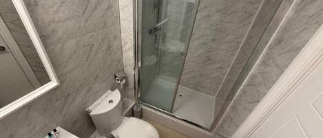 A bathroom with a toilet, sink, and glass shower enclosure.