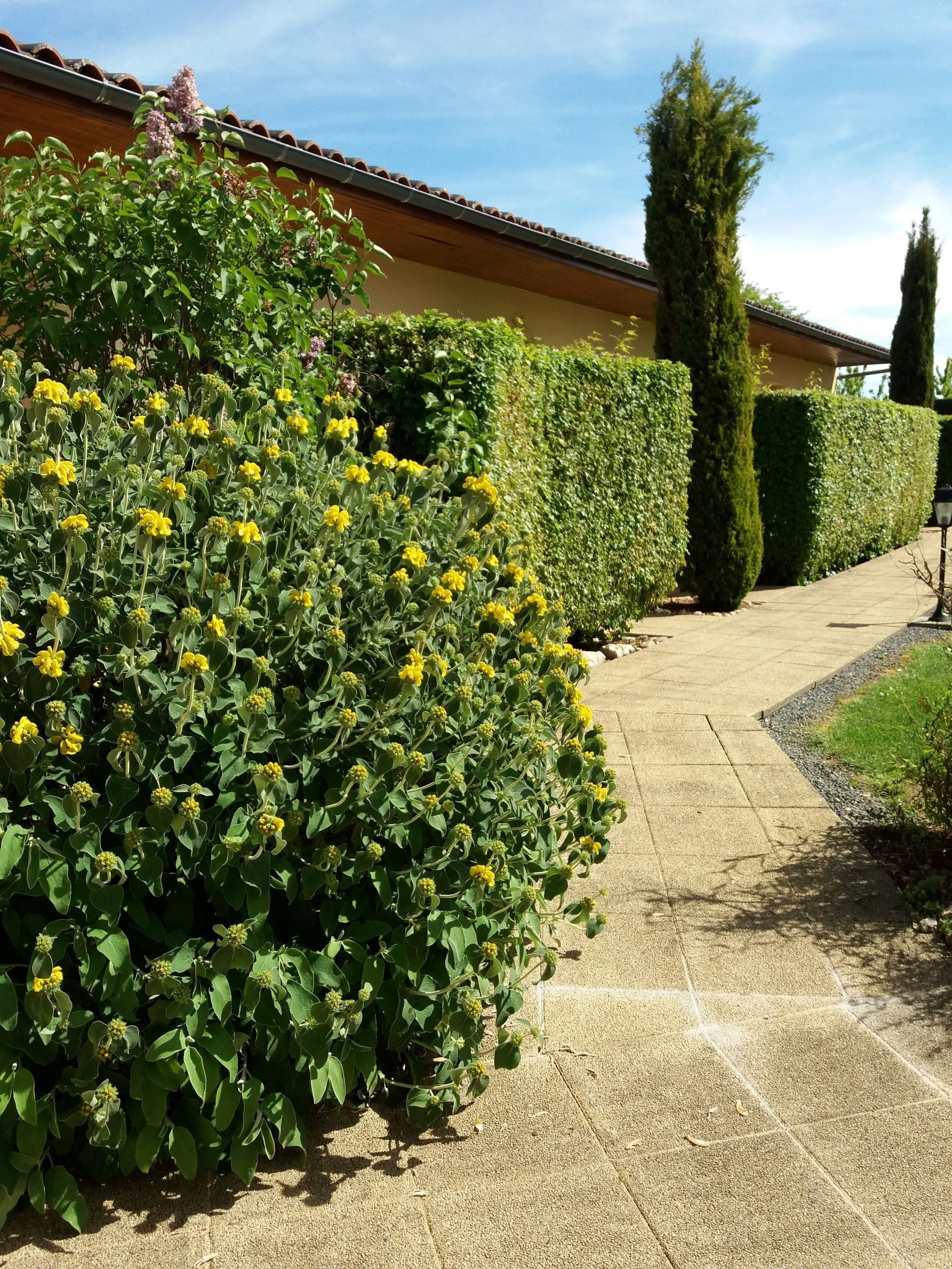 Foto - Hôtel Le Mas del Pechs - Chambres avec terrasse