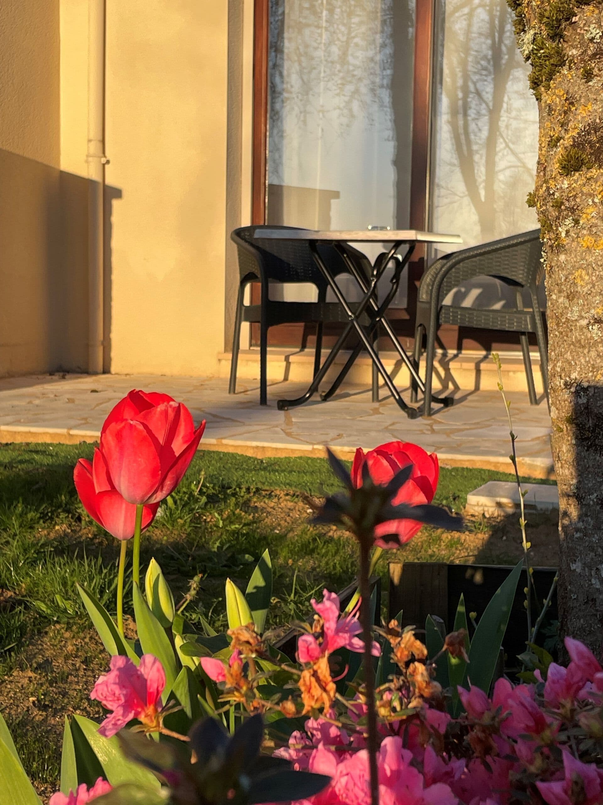 Un patio con tavolo e sedie, circondato da un giardino con tulipani rossi e fiori rosa.