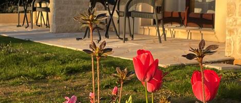 A modern building with a stone facade, a patio with outdoor furniture, and a garden with pink flowers.