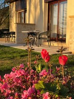 Minibar, caja de seguridad en la habitación y muebles diferentes 