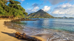 Una spiaggia con acqua cristallina, un tronco grande sulla sabbia e una montagna sullo sfondo.