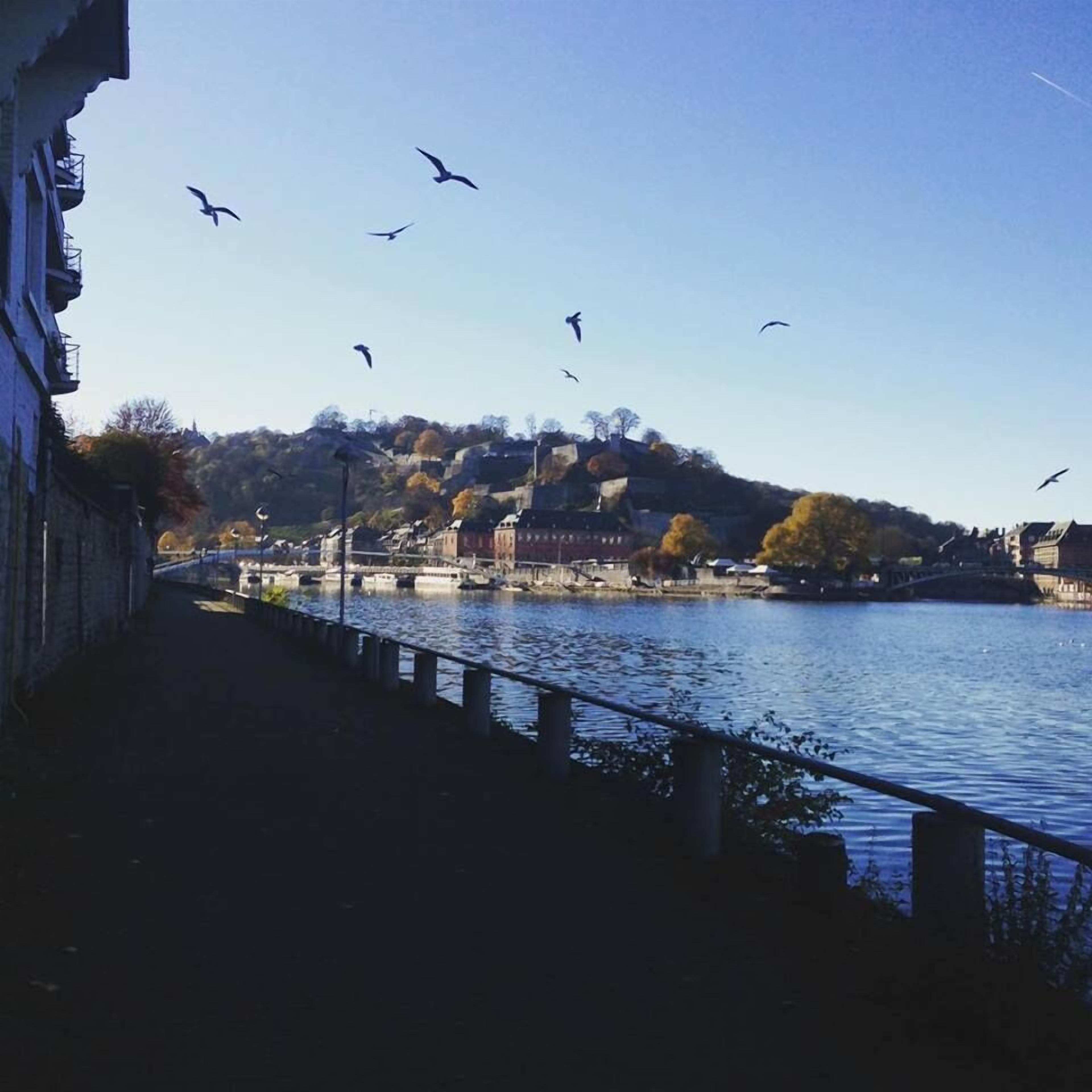 A riverside walkway with a view of a hill with buildings and trees.