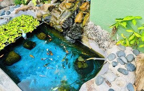 A small pond with clear blue water, surrounded by rocks and plants.
