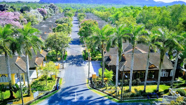 A residential street lined with palm trees and houses with tiled roofs.