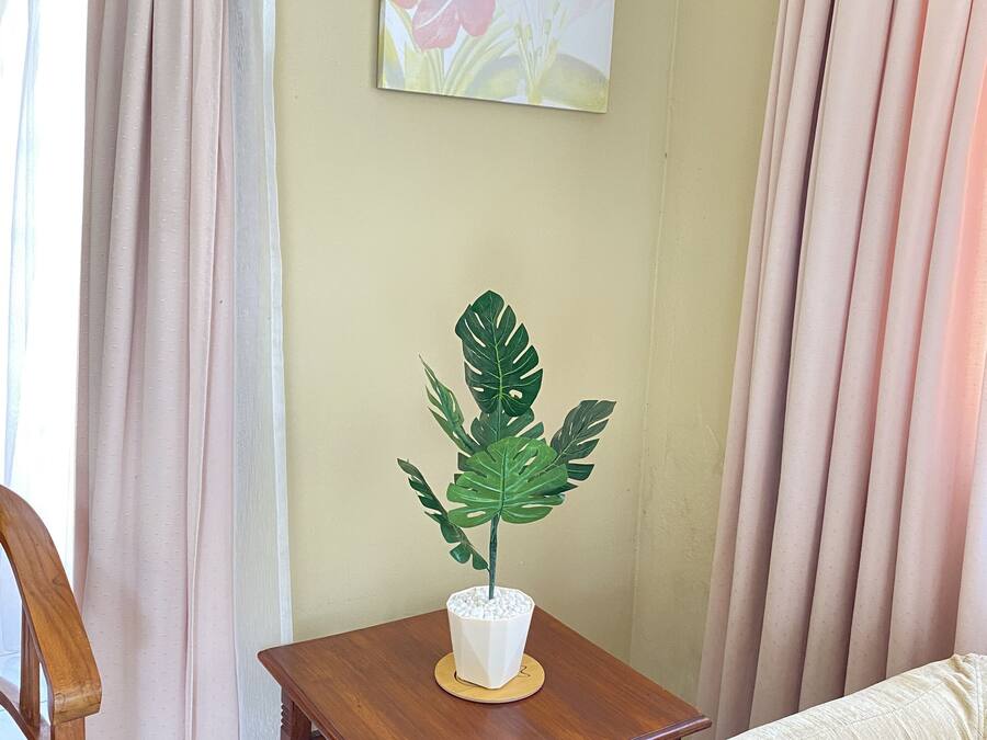 A room with a wooden table, a potted plant, a sofa, and curtains.