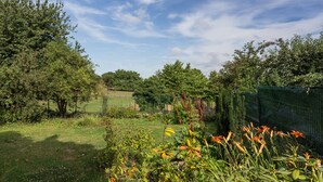 Un jardín con diversas plantas y árboles, un área cercada y cielo despejado.