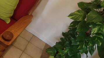 DĂ©tail de lâintĂ©rieur