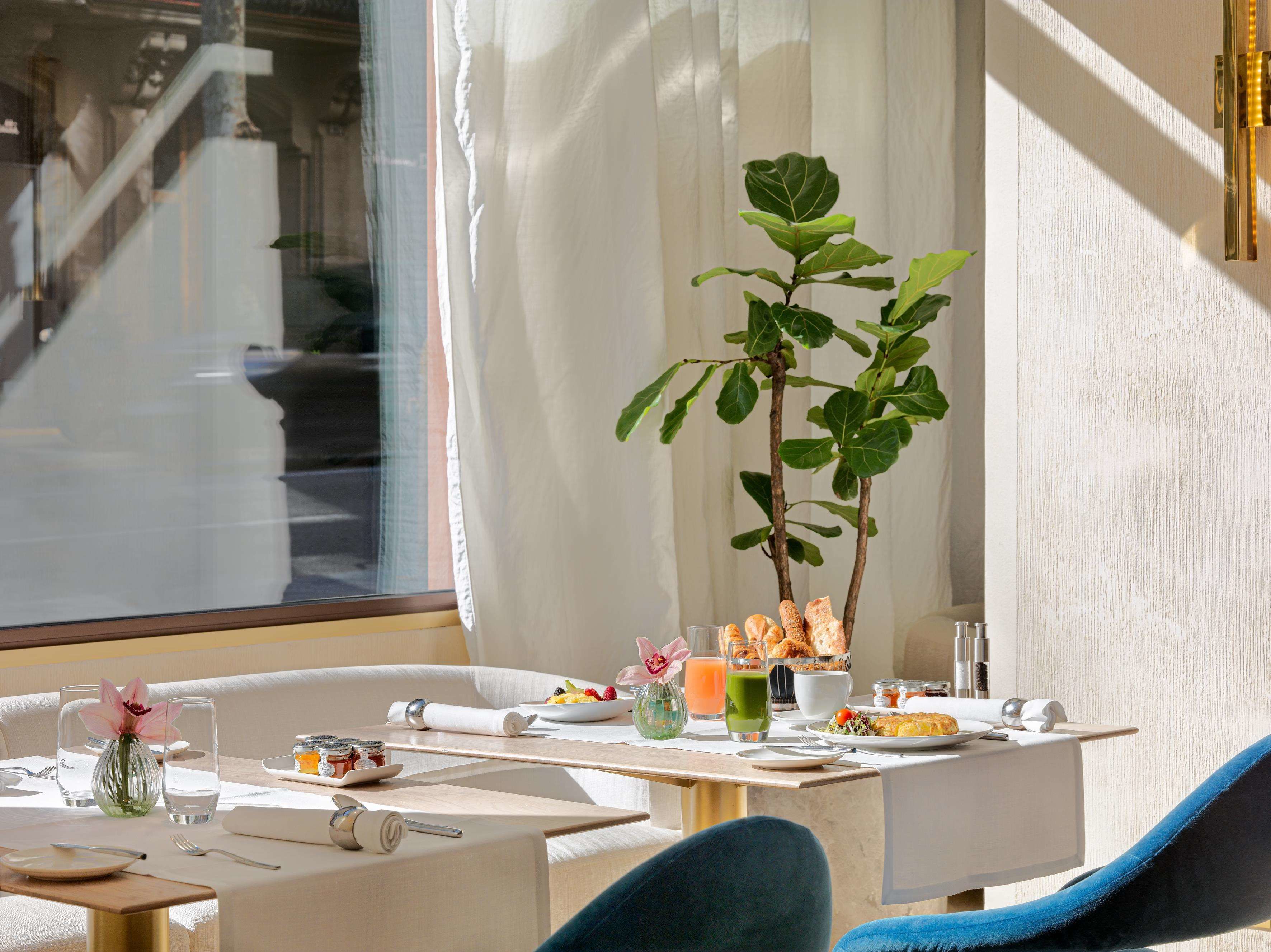Comedor con una mesa lista para el desayuno, que incluye pan, fruta y una planta.