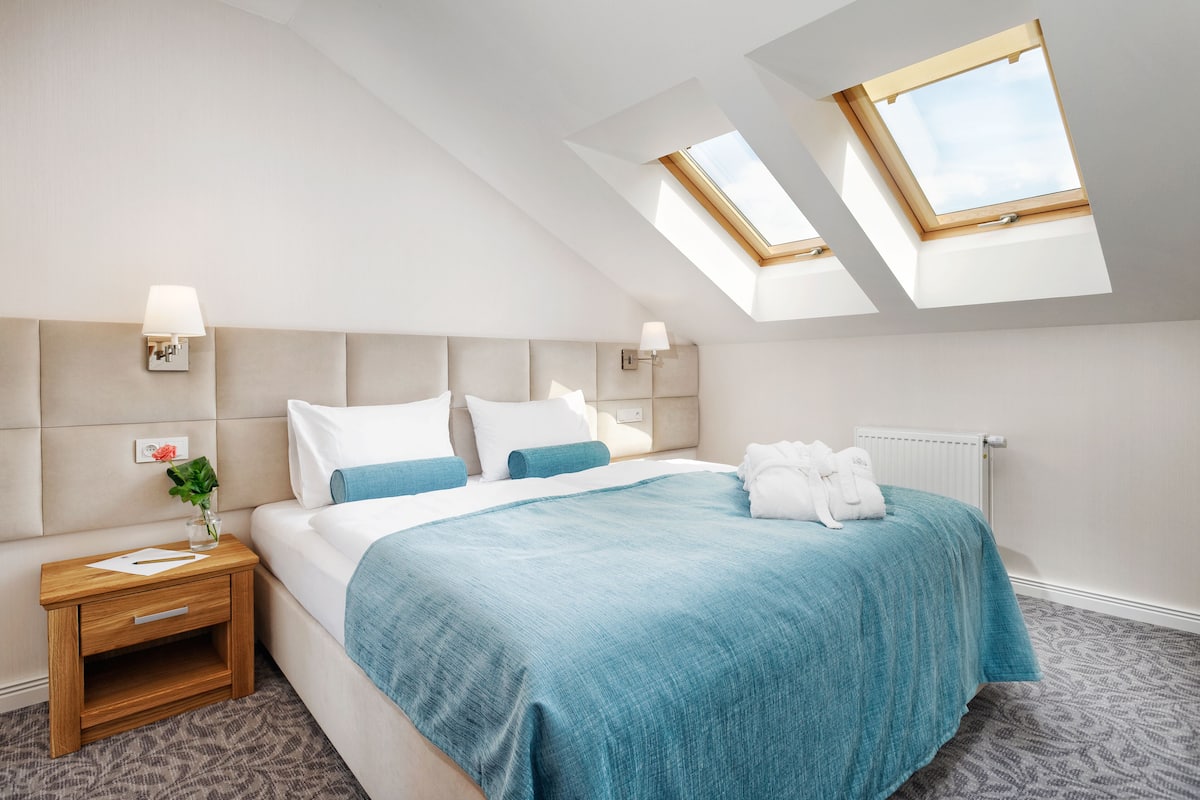 standard single room | 1 bedroom, minibar, in-room safe, desk