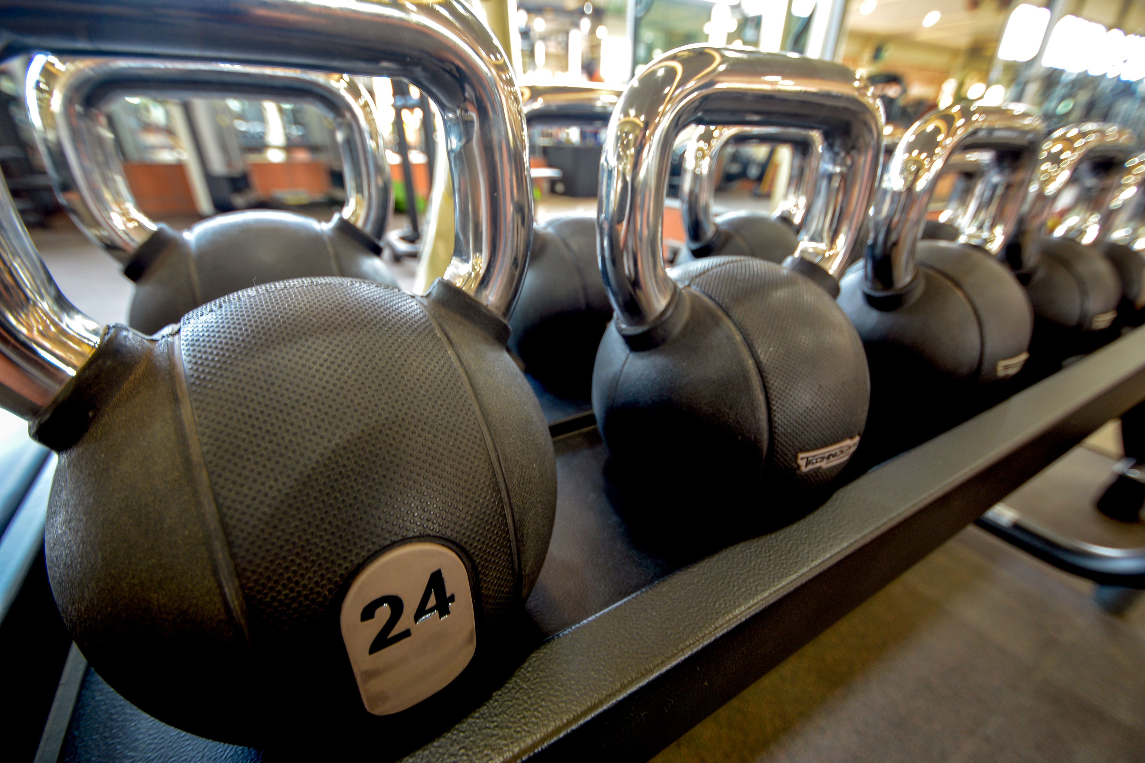 A row of gym equipment, including kettlebells and dumbbells, arranged on a rack.