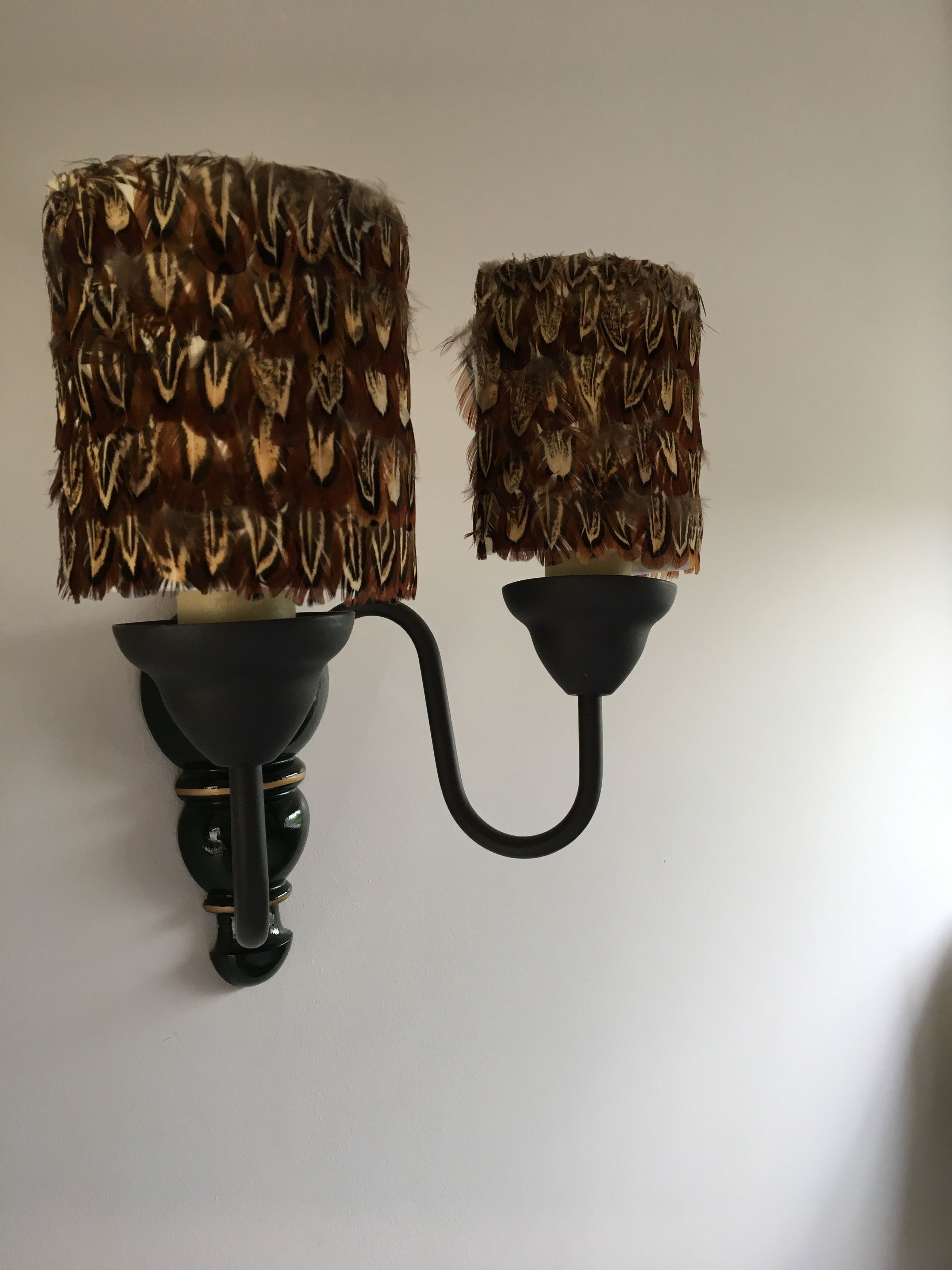 Two wall-mounted lamps with a feather-like design.