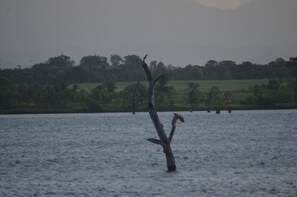 View from property - Makulu Safari Camping (Sevanagala)