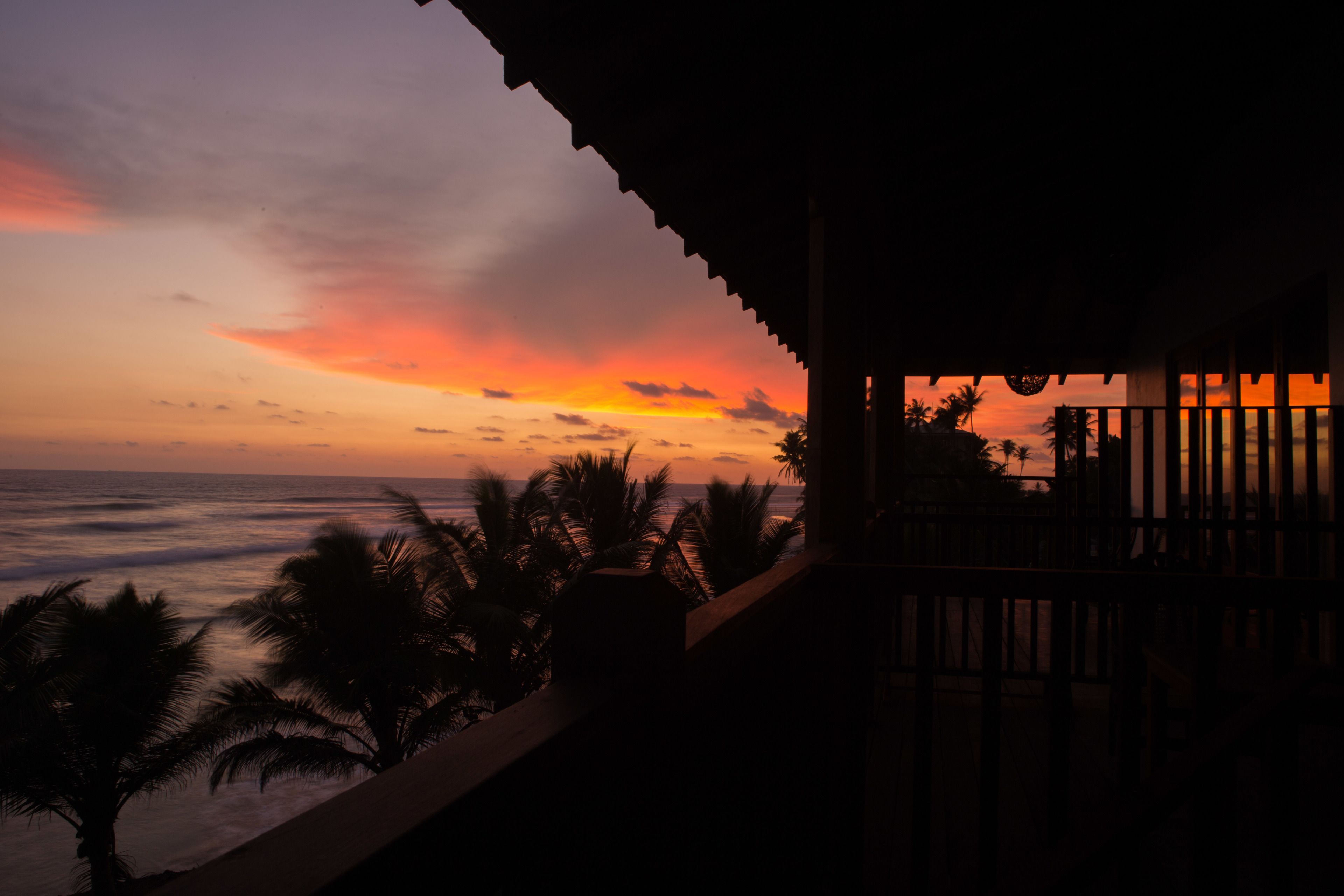 A sunset view from a balcony overlooking the ocean with palm trees.