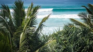 Vista del océano con olas y palmeras al frente.