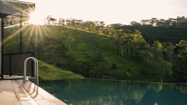 Una piscina con una escalera metálica y una estructura de pérgola.