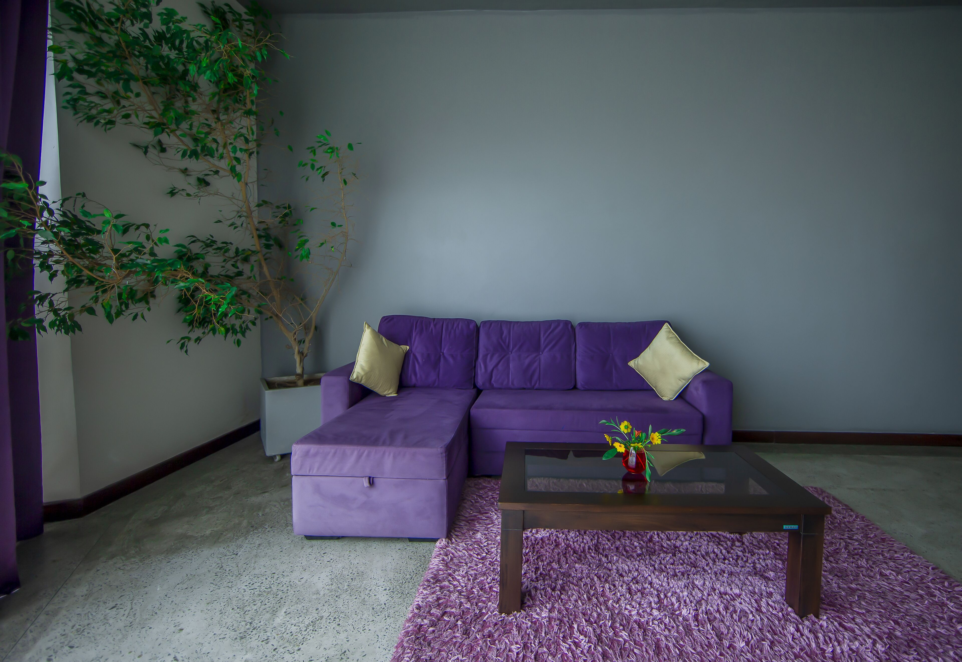 junior studio suite | 1 bedroom, premium bedding, minibar, in-room safe