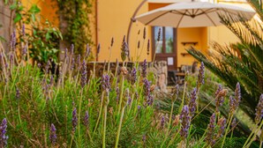 Front of property - Hotel El Tejar (Vilaflor)
