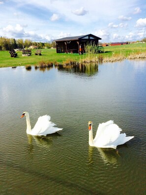 Lake