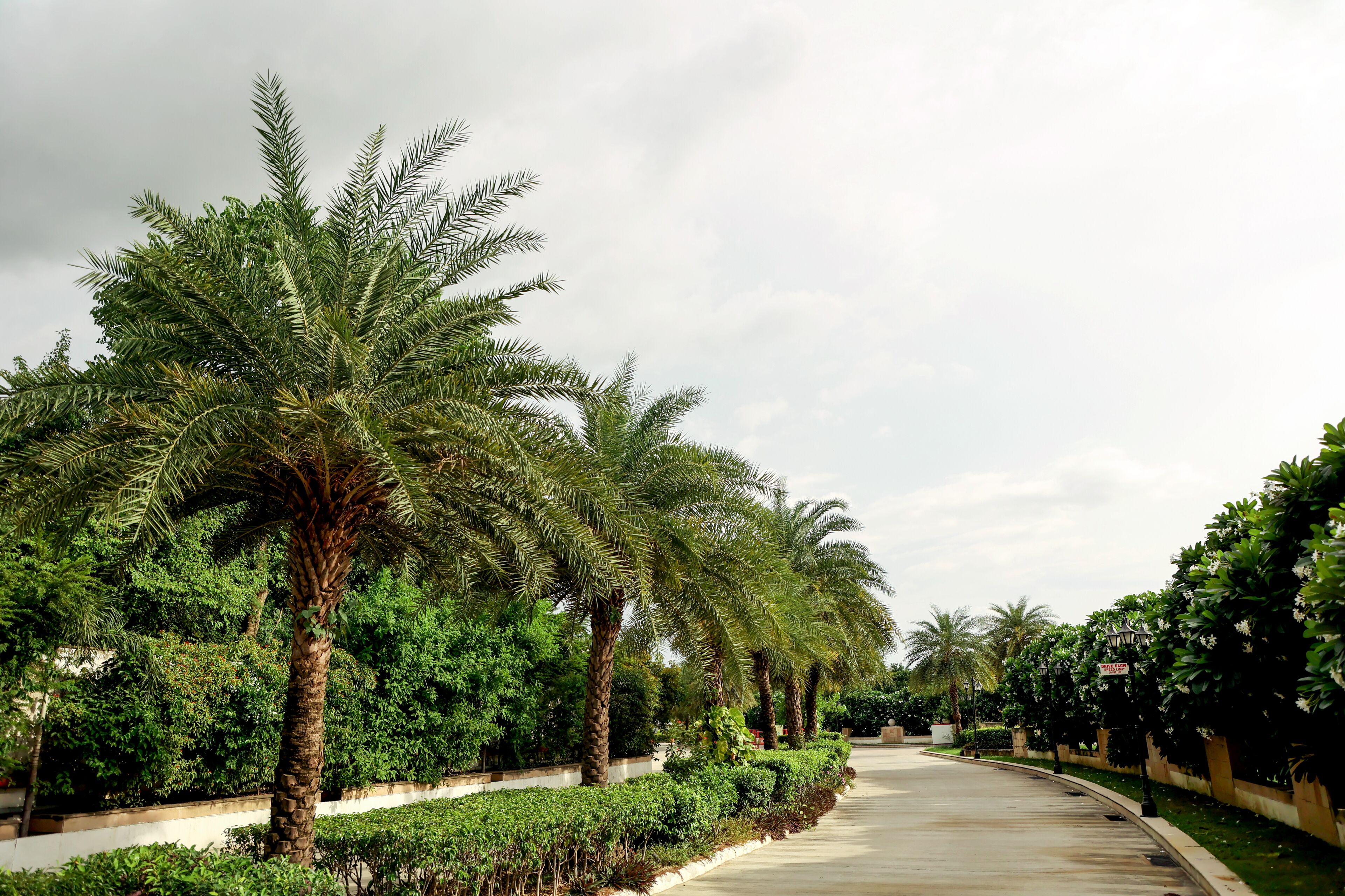 Foto - Ramada by Wyndham Lucknow Hotel and Convention Center