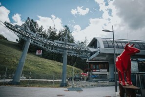 Sneeuw- en skisporten