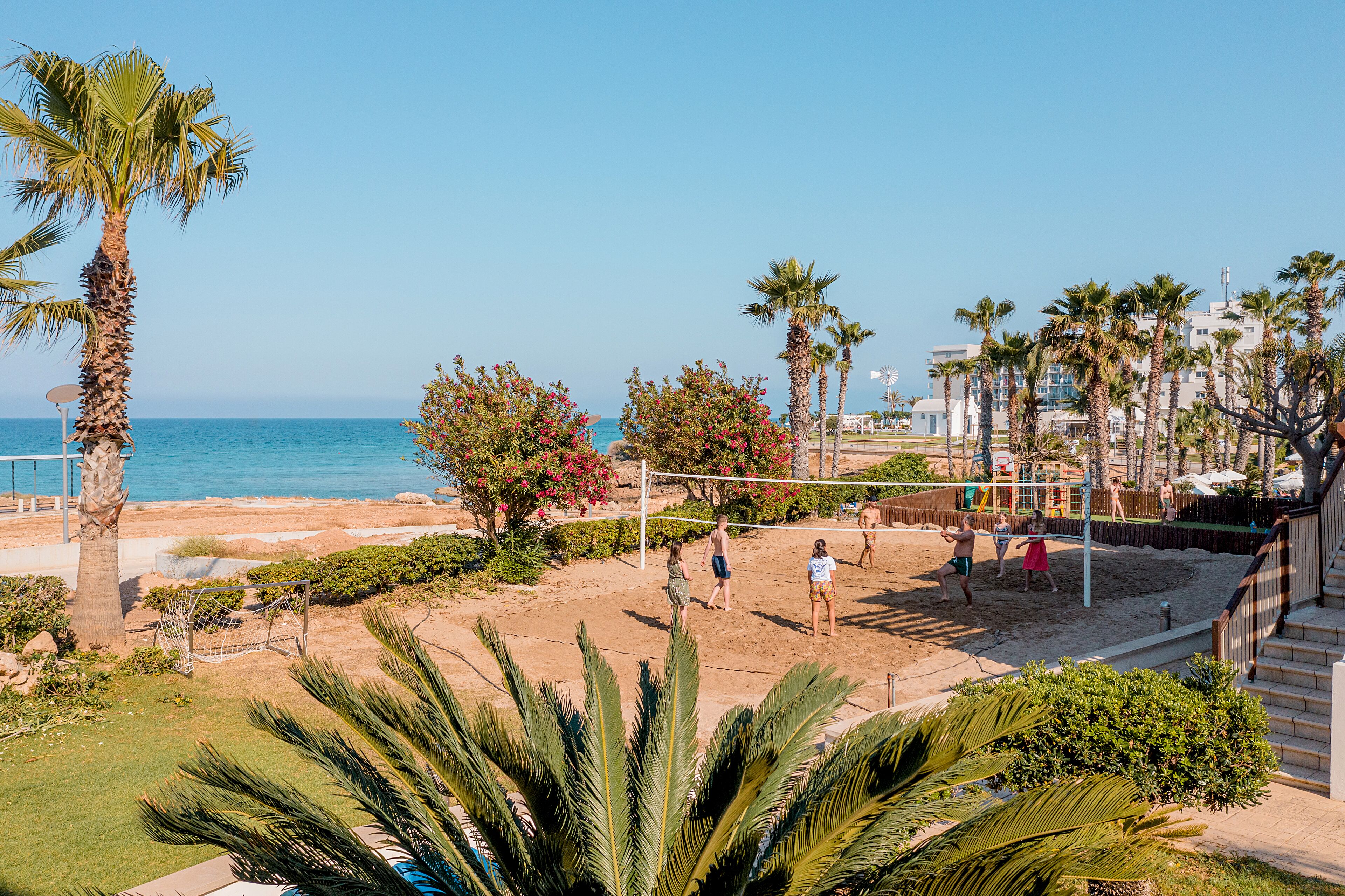 A beach volleyball court with palm trees and a view of the ocean.