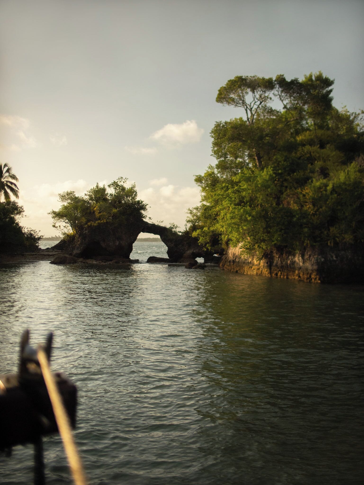 A natural landscape with a rock formation over water, surrounded by dense vegetation.