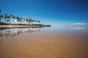 Na praia, serviço de traslado de/para a praia, toalhas de praia